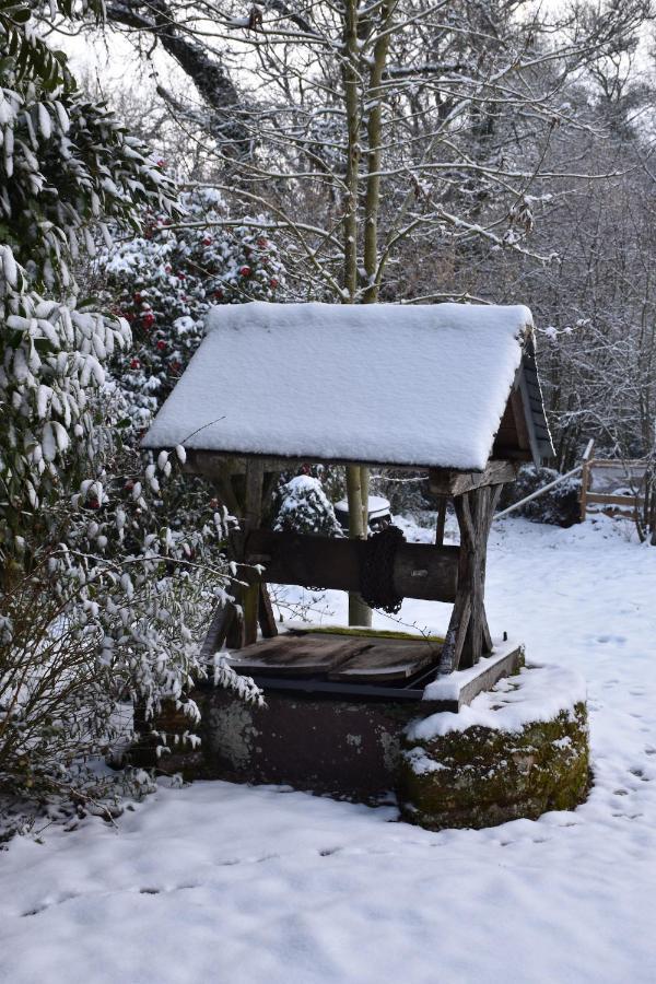 Manoir Le Courtillon Le Pont Rean Exterior foto